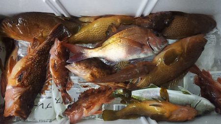 ネチネチネギング