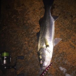 バチパターン難し!!