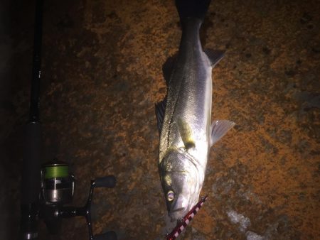 バチパターン難し！！