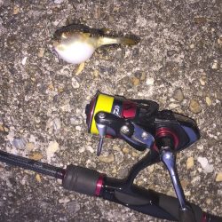 風が強かった！