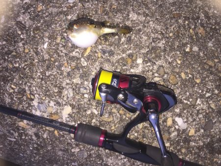 風が強かった！