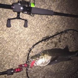 報われた〜！！