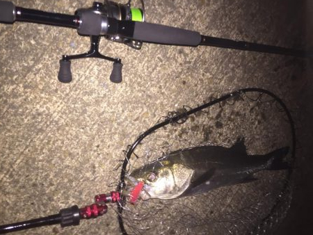 報われた〜！！