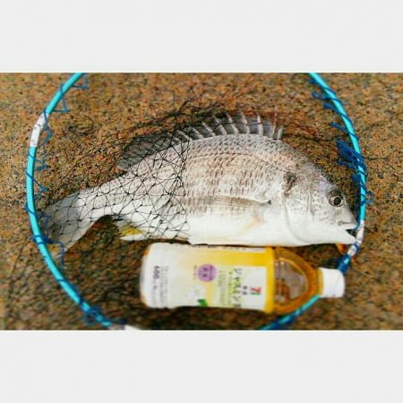 キビレ！だめおし一本！