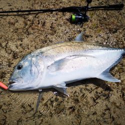 リーフエリア　ショアからGT