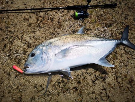 リーフエリア　ショアからGT