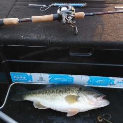 春休みちょい爆