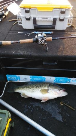 春休みちょい爆