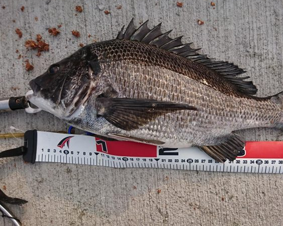 久しぶりの晴天釣り日和