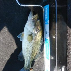 引き続きちょい爆