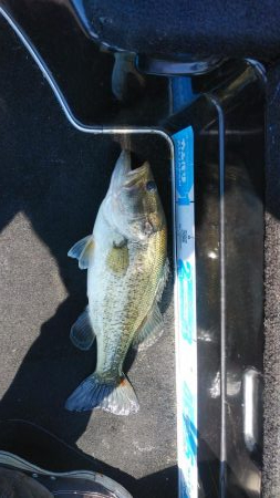 引き続きちょい爆