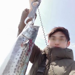 初サゴシ!! 場所:ヒント平田周辺