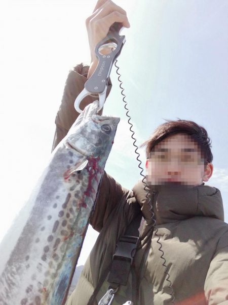 初サゴシ!! 場所:ヒント平田周辺