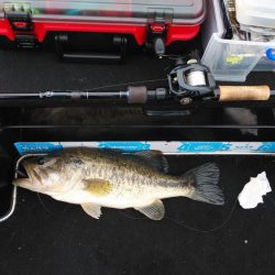 GWアシ打ちまだいけます!