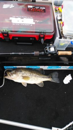 GWアシ打ちまだいけます!