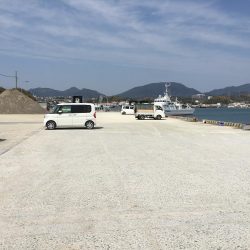 小アジ50匹、小いわし18匹、コノシロ1匹