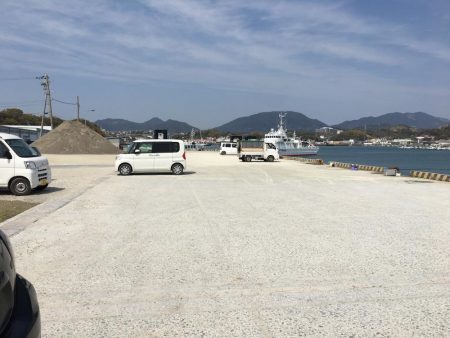 小アジ50匹、小いわし18匹、コノシロ1匹