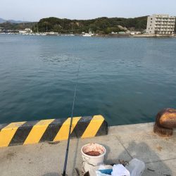 釣り人多いが当りはさびしい