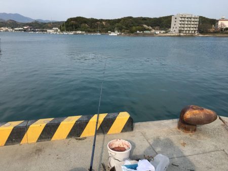 釣り人多いが当りはさびしい