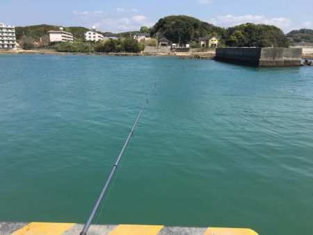 コアジ13匹、コイワシ13匹