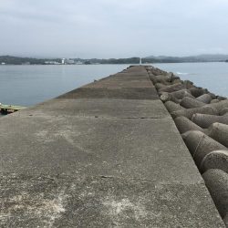 アジ12匹、マハタ1匹、コノシロ1匹