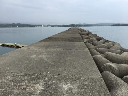 アジ12匹、マハタ1匹、コノシロ1匹