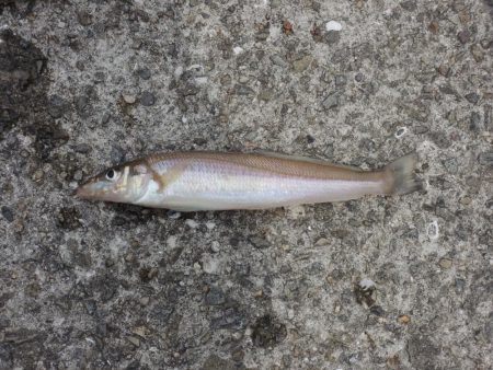 キスは時期尚早