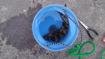 浮き釣り最高！