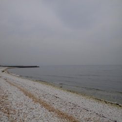 泉佐野サーフエリアでメバリング(^^)