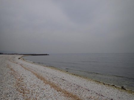 泉佐野サーフエリアでメバリング(^^)