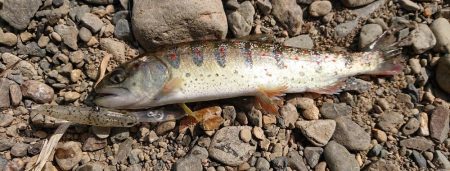 水瀬川 尺代漁業協同組合。