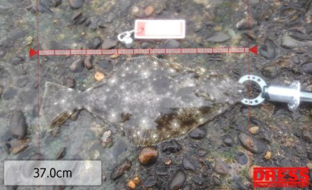 ホームで久しぶりの釣果