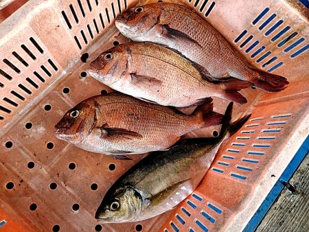 久しぶりの釣堀でした!!