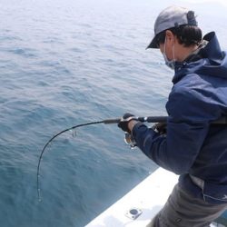 スカイマリン 釣果