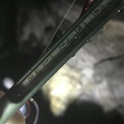 白浜日置に春イカをエギングで狙いに行った、、、ものの