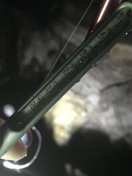 白浜日置に春イカをエギングで狙いに行った、、、ものの