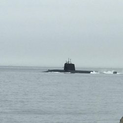 中紀ももう完全に春イカ開幕