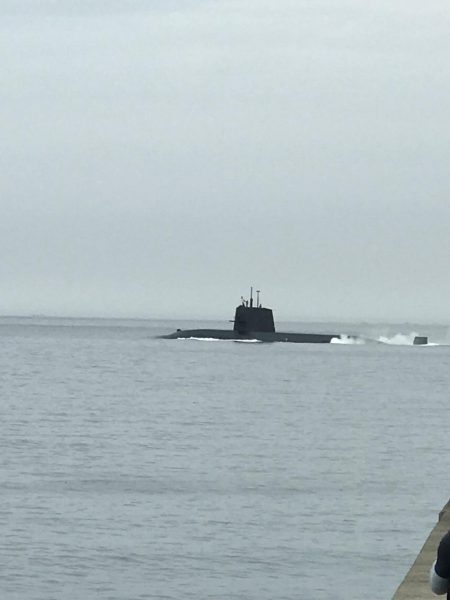 中紀ももう完全に春イカ開幕