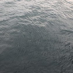 ライトショアジギング