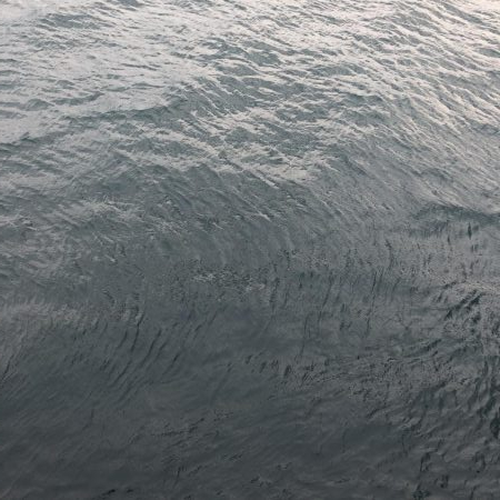 ライトショアジギング