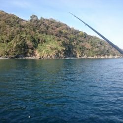 泳がせ釣りで自己記録更新ヒラメ52センチ