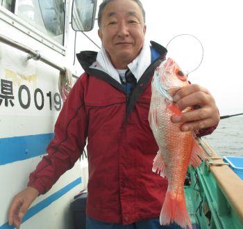 土佐安芸のハマちゃんの釣果