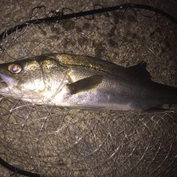 報われた〜！！