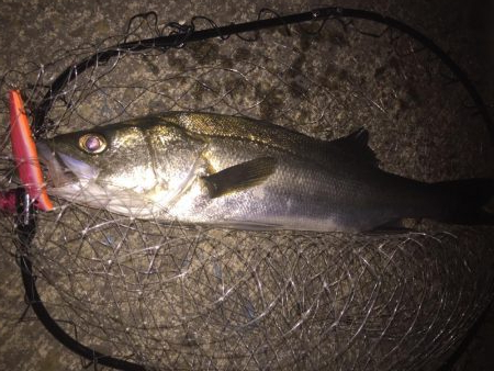 報われた〜！！