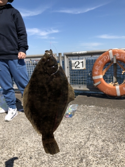 カサゴとカレイ