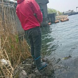 ハイプレッシャー