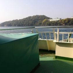 初めての春イカ