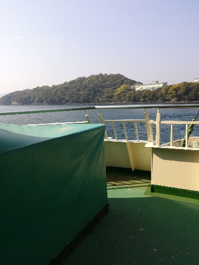 初めての春イカ