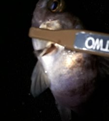 超~久しぶりのホームで!