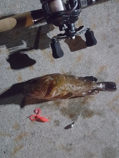 きびしくても優しい！